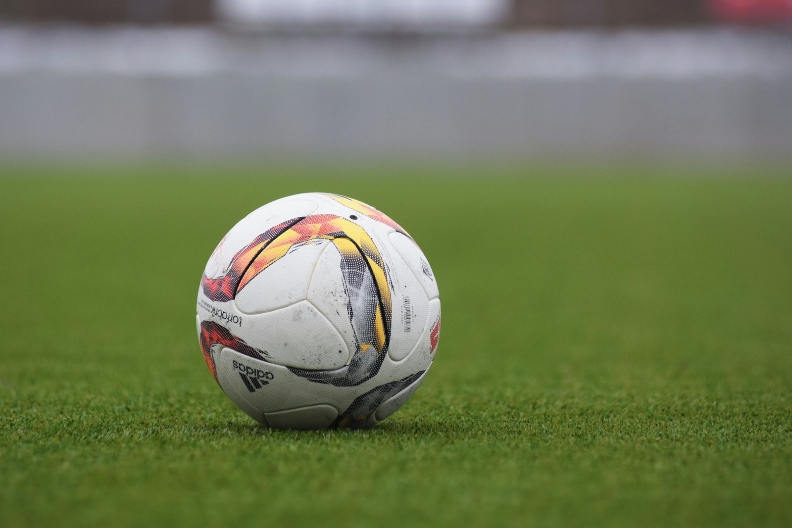 Spor ve Fiziksel Gelişim Kulübü